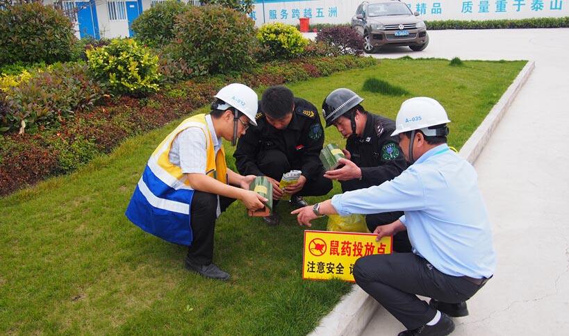 為什么慢性滅鼠藥要比急性滅鼠藥好？
